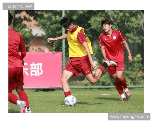 激情碰撞 全力以赴探索体育比赛背后的拼搏与荣耀