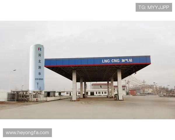 独家解析LNG意识的多维对比与市场影响探讨 独家解析LNG意识的多维对比与市场影响探讨