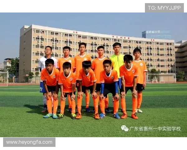 西安网球队奋勇拼搏的成长之路与杯赛荣耀的背后故事 西安网球队奋勇拼搏的成长之路与杯赛荣耀的背后故事